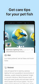 Gallery 0