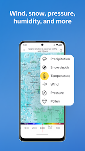 Screenshot 4 for Yandex Weather & Rain Radar