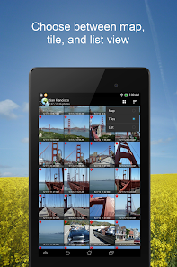 Gallery 0