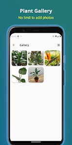 Gallery 0