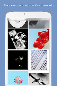 Gallery 0