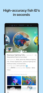 Gallery 0