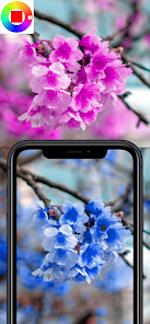 Gallery 0