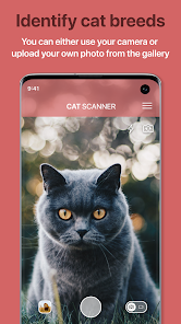 Gallery 0