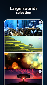 Gallery 0