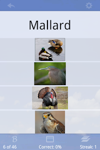 Gallery 0