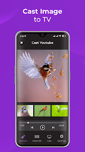Gallery 0