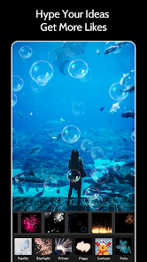 Gallery 0