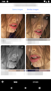 Gallery 0