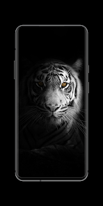 Gallery 0