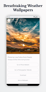 Gallery 0