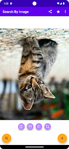 Gallery 0