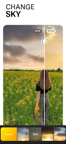 Gallery 0