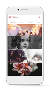 Gallery 0