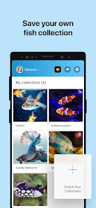 Gallery 0