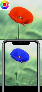 Gallery 0