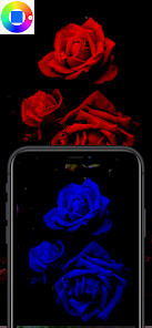 Gallery 0